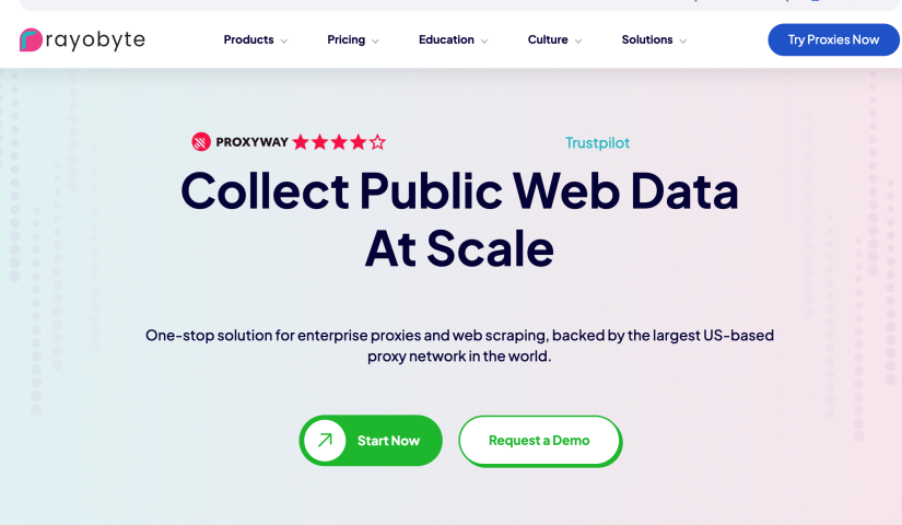 Баннер Rayobyte